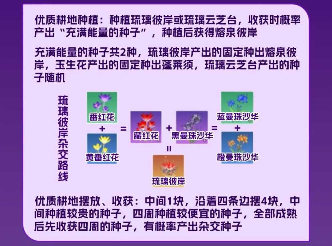 创造与魔法奇美拉坐骑/宠物获取及技能解析