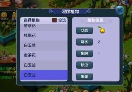 梦幻西游二级花给什么