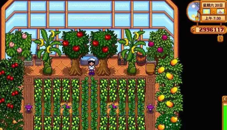 星露谷物语怎么赚钱最快最多 星露谷物语怎么赚钱最快最多