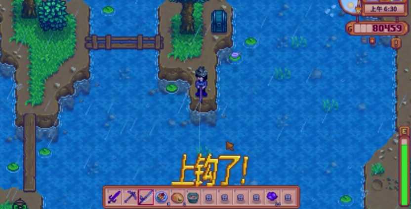 星露谷物语夏天雨天钓什么