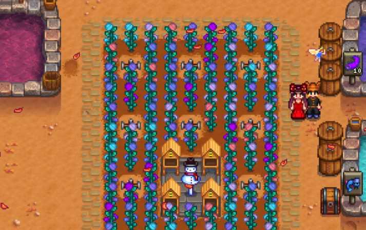 星露谷物语仙子花园任务怎么做