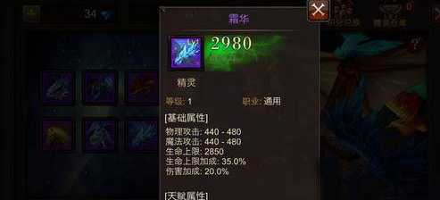 全民奇迹雷泽和什么组合好