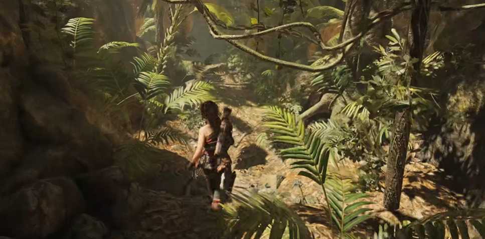 古墓丽影支线古墓攻略