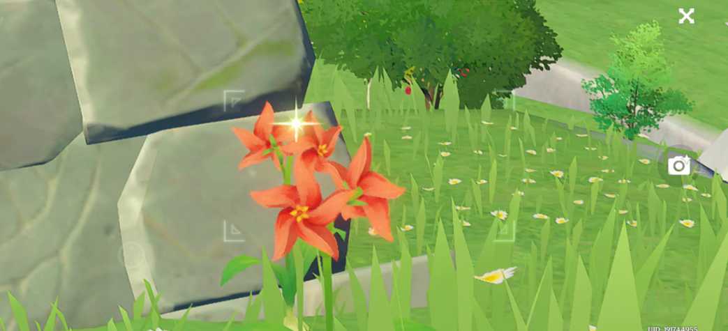 原神选什么花作为风之花 原神选什么花作为风之花