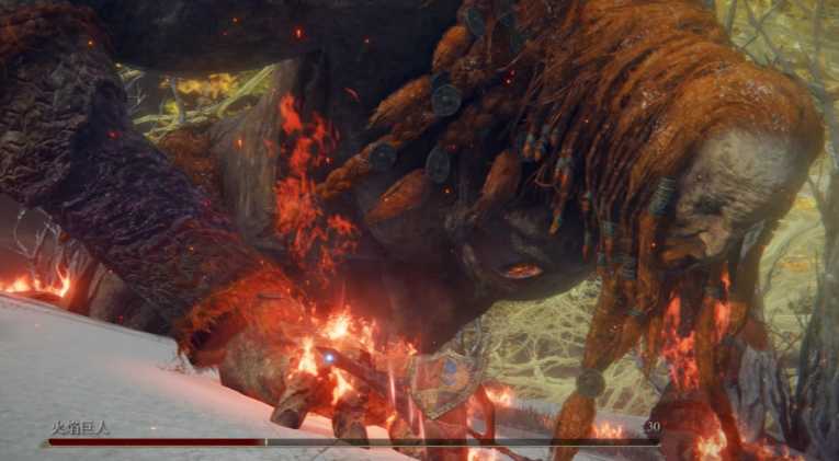 艾尔登法环哪些boss难度高