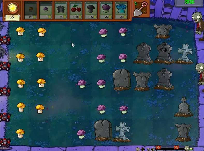 植物大战僵尸关卡29怎么过