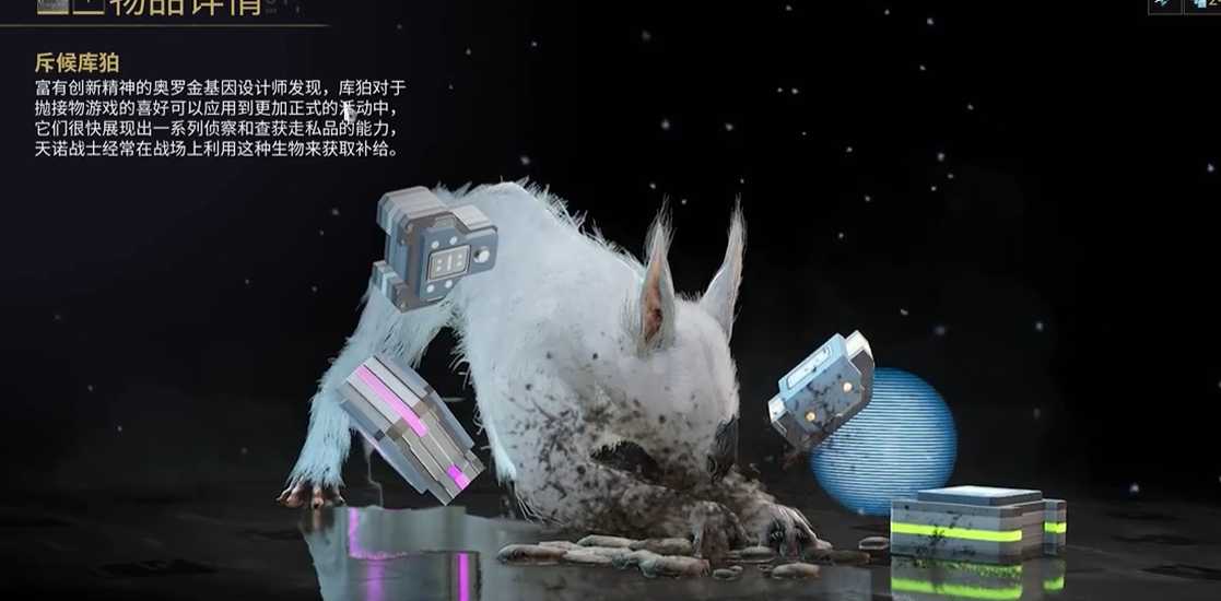 星际战甲什么库柏最好 星际战甲什么库柏最好