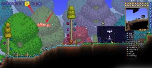 泰拉瑞亚如何增长星尘龙