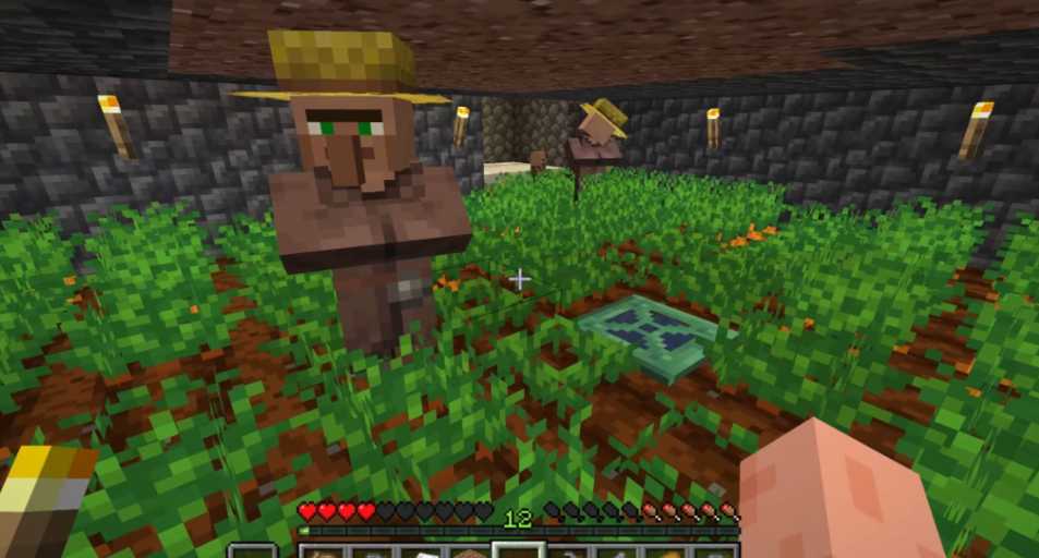 我的世界怎么生成村长 我的世界怎么生成村长