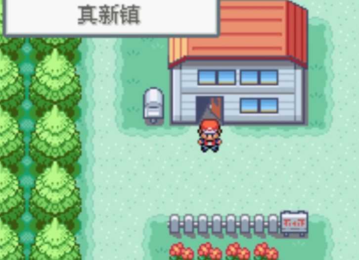 口袋妖怪火红尼比市怎么去