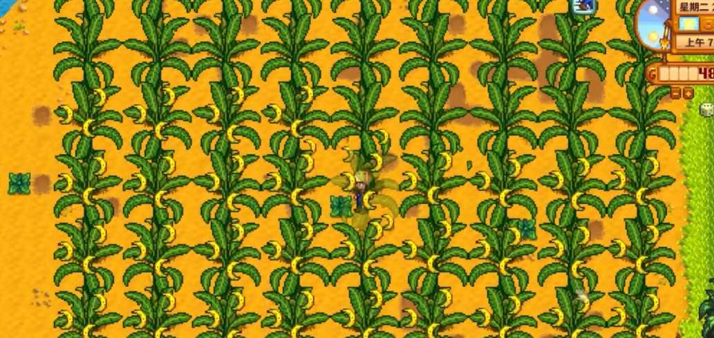 星露谷物语果树收益高吗 星露谷物语果树收益高吗