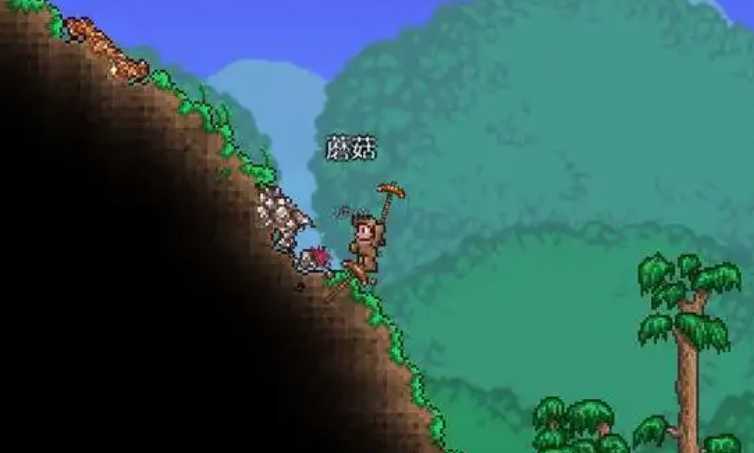 泰拉瑞亚如何烹饪