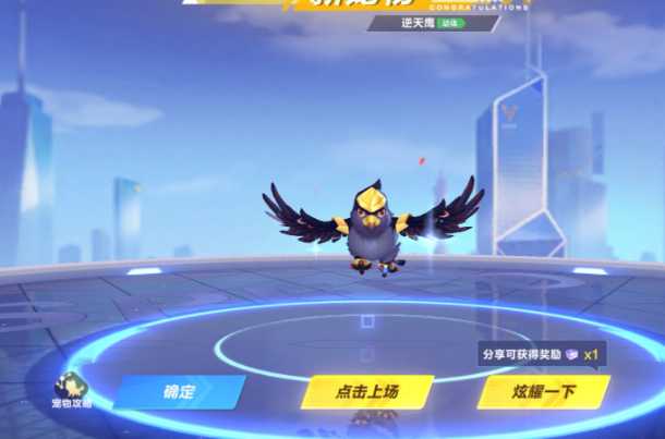 qq飞车中哪个宠物最好 qq飞车中哪个宠物最好