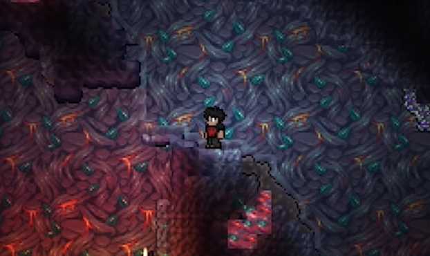 泰拉瑞亚肉山鱼怎么钓