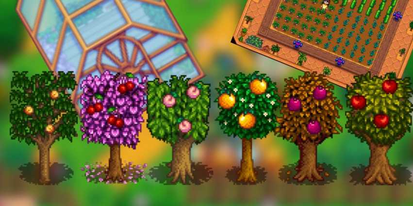 星露谷物语什么树好 星露谷物语什么树好