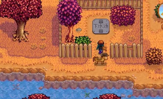 星露谷物语鲤鱼在哪钓