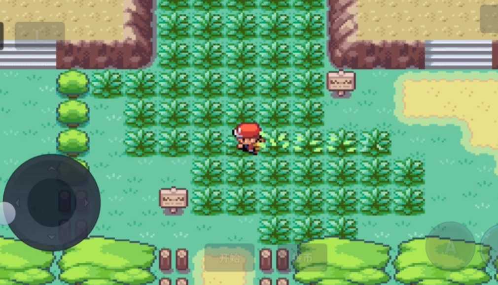 口袋妖怪火红如何获得冲浪术 口袋妖怪火红如何获得冲浪术