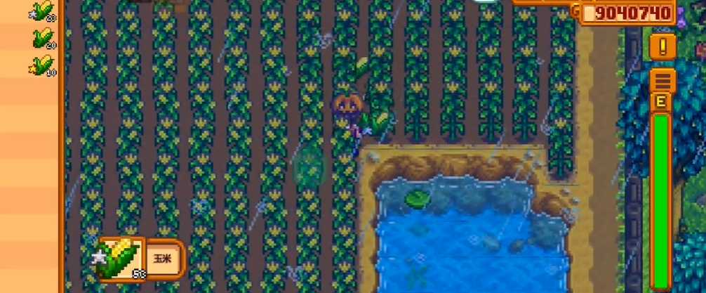 星露谷物语玉米怎么种