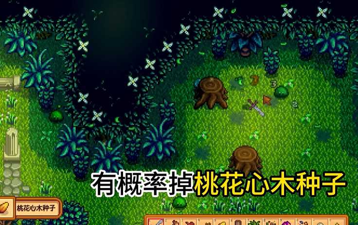 星露谷物语硬木在哪里刷 星露谷物语硬木在哪里刷