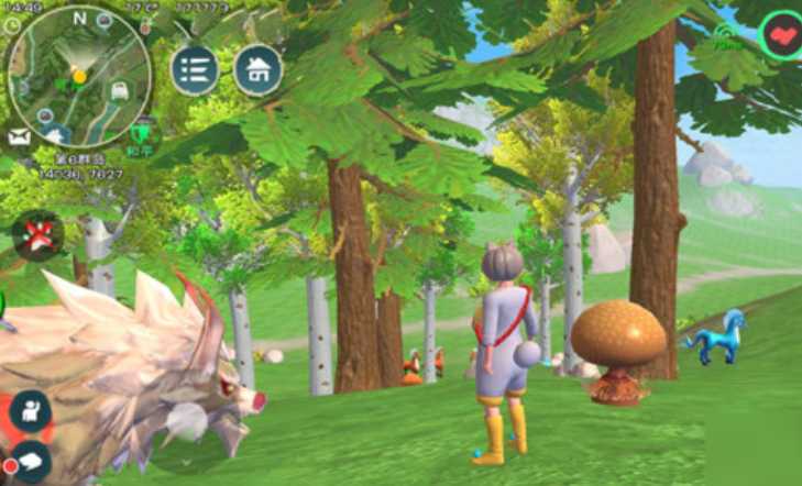 创造与魔法松露在哪里