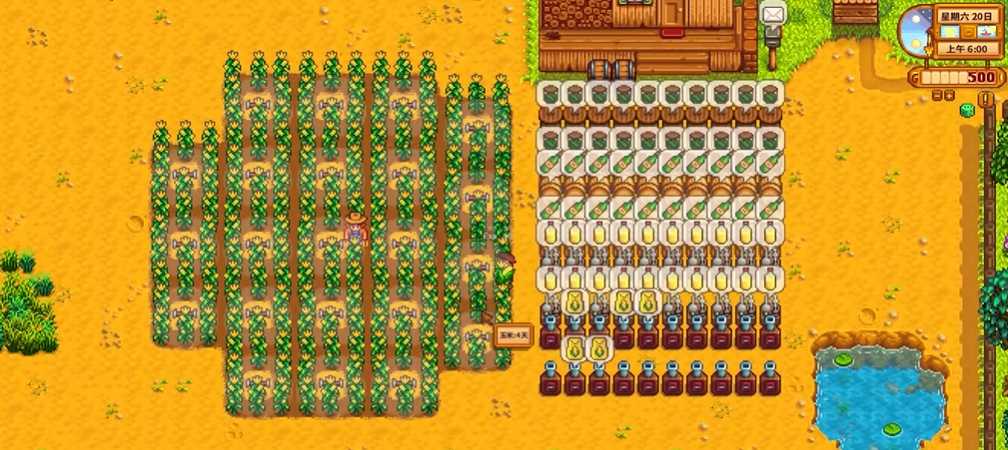 星露谷物语玉米怎么种