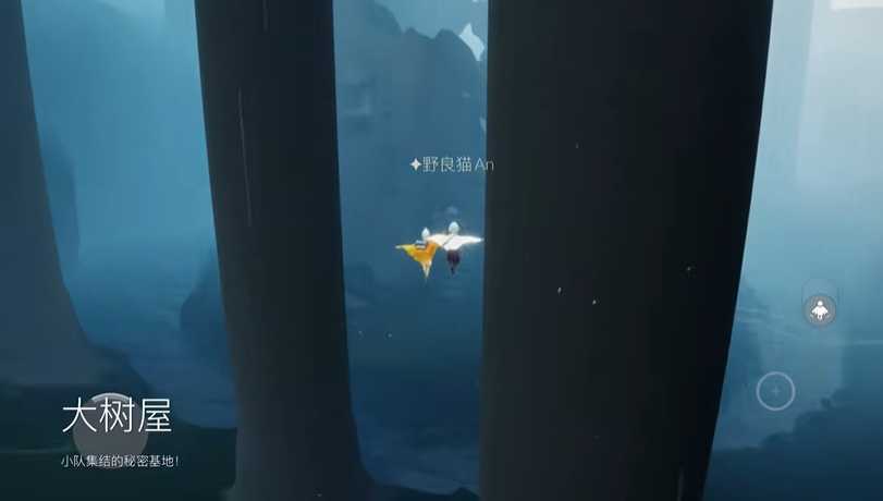 光遇怎么在雨林拿爱心 光遇怎么在雨林拿爱心