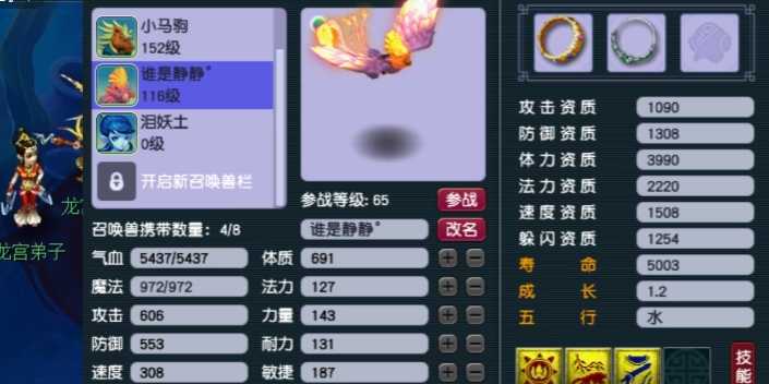 梦幻西游做肉盾用什么宝宝