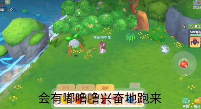 摩尔庄园手游怎么抓黑毛球 摩尔庄园手游怎么抓黑毛球