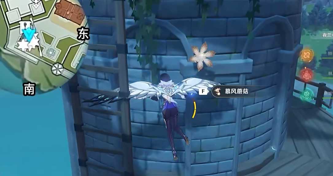 原神哪里有慕风蘑菇 原神哪里有慕风蘑菇