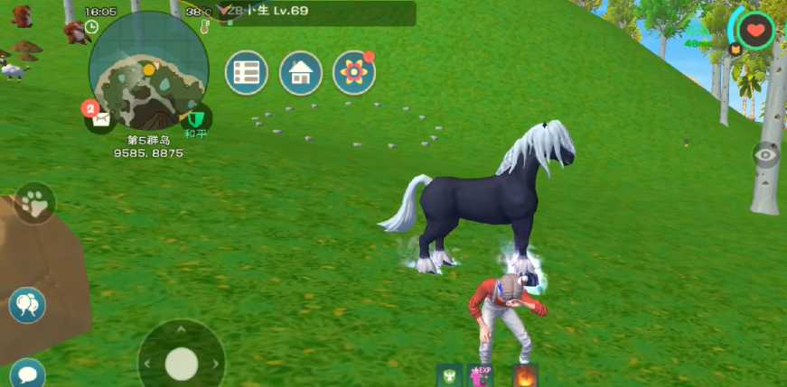 创造与魔法黑马怎么捕捉 创造与魔法黑马怎么捕捉