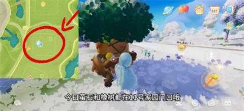 心动小镇11月28日溜溜橡木和无暇荧石采集位置 心动小镇星期五的溜溜木刷新位置[图2]