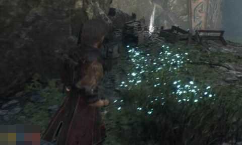 光与影33号远征队详解：81号远征队日志内容详解与拾取攻略[图4]