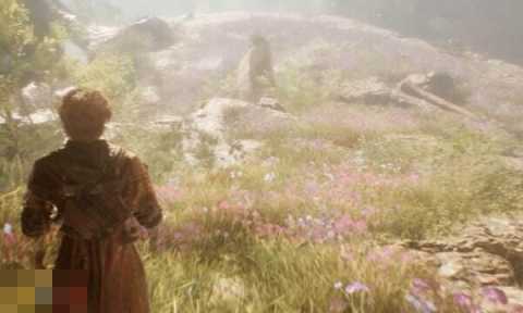 光与影33号远征队详解：81号远征队日志内容详解与拾取攻略[图6]