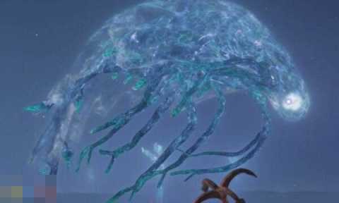 艾尔登法环黑夜降临玛利斯怎么打 黑夜王征兆战斗攻略[图1]