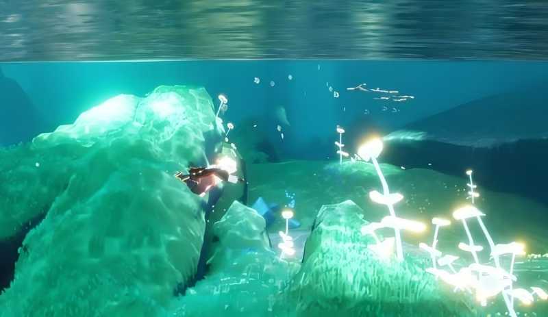 光遇里海怎么进去 光遇里海怎么进去