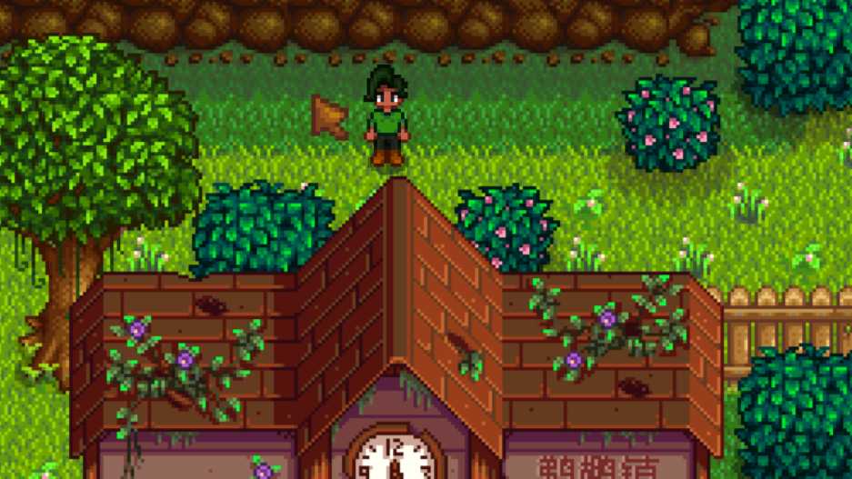 星露谷物语秘密任务14怎么做