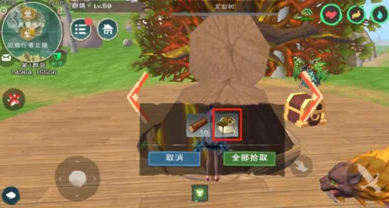 创造与魔法龙血树在哪里