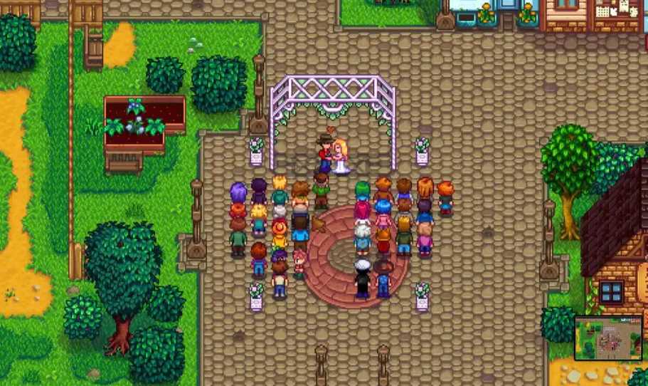 星露谷物语怎么和潘妮生孩子 星露谷物语怎么和潘妮生孩子