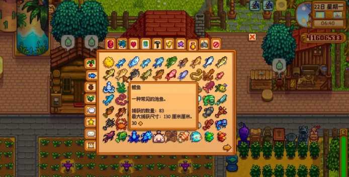 星露谷物语鲤鱼在哪钓