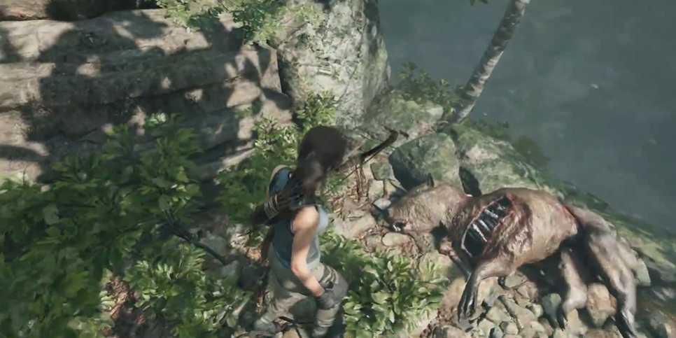 古墓丽影秘鲁森林怎么过