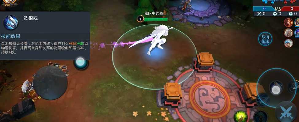 乱斗西游2奎木狼如何用