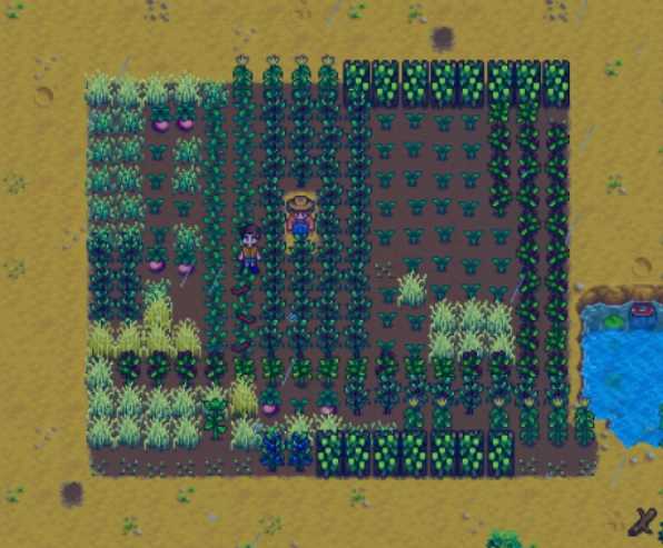 星露谷物语不想浇水怎么办 星露谷物语不想浇水怎么办