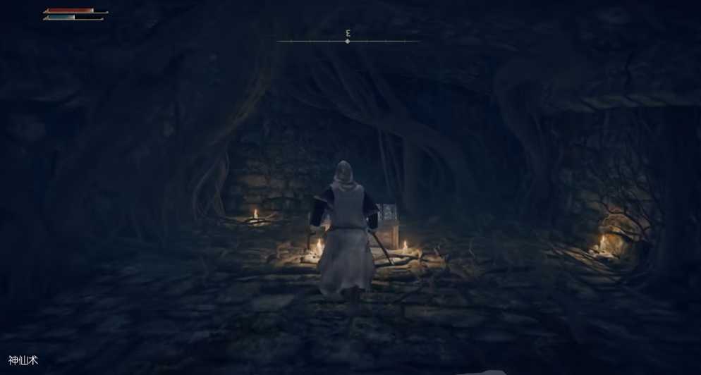 艾尔登法环观星者100级怎么加点 艾尔登法环观星者100级怎么加点