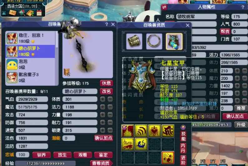 梦幻西游血攻宠加什么