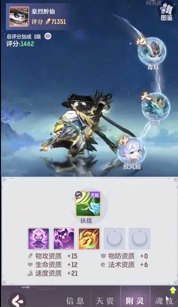 长安幻想熊猫选什么属性 长安幻想熊猫选什么属性