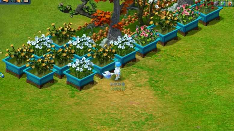 梦幻西游单练什么赚钱