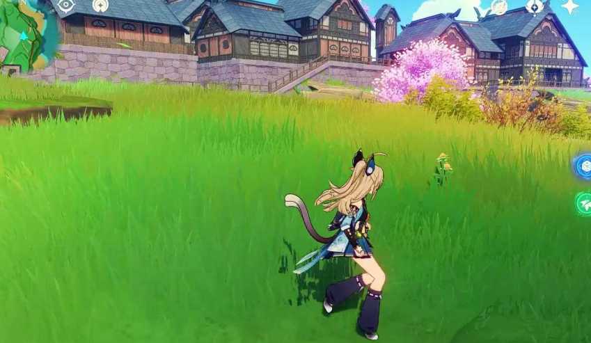 原神怎么快速找食物 原神怎么快速找食物