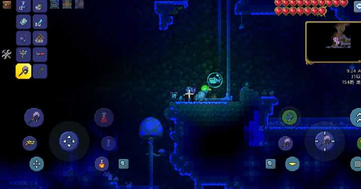 泰拉瑞亚种子怎么获得