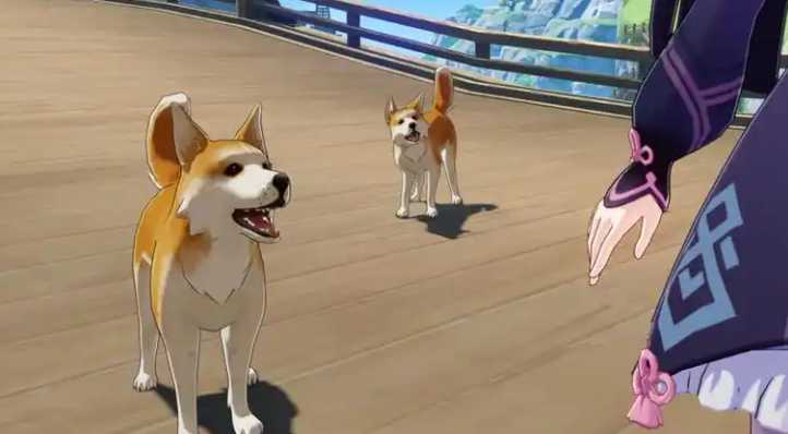 原神北地犬有什么用