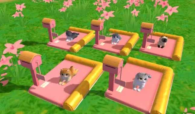 创造与魔法小猫咪怎么抓